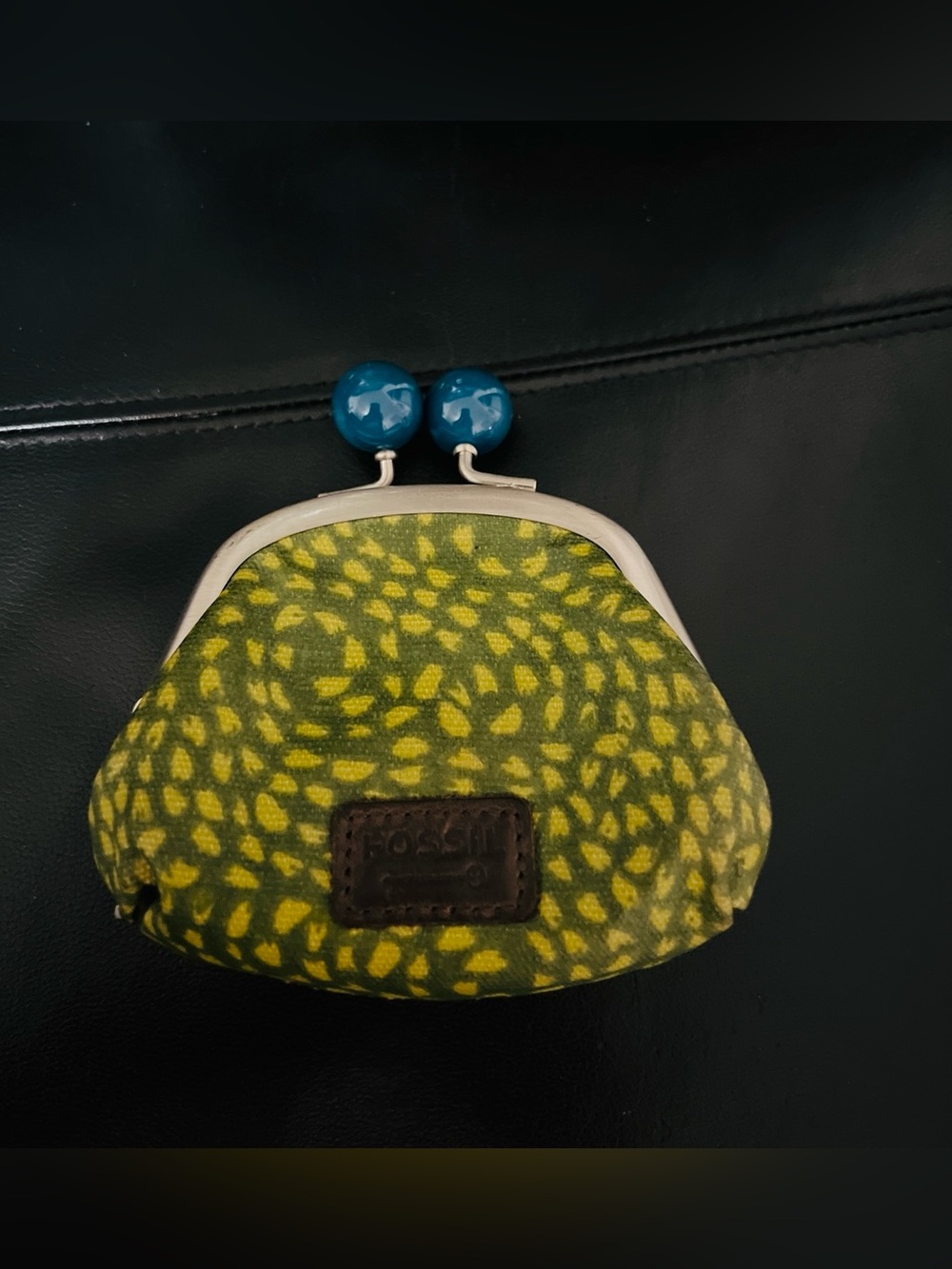 Fossil Rare Patterned Coin Purse with Blue Kiss-Lock